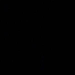 Meet your Posher, Charles